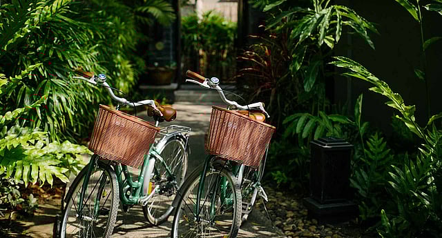 ������� "��������" ����� �������� ���� sabq/2024-12-13/