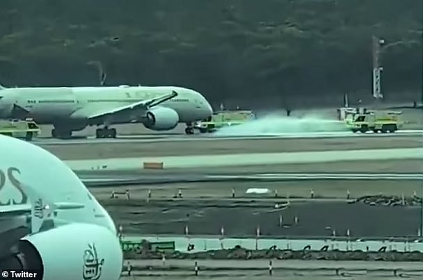 ������ ������ ����� "�������" ���� sabq/2025-01-05/