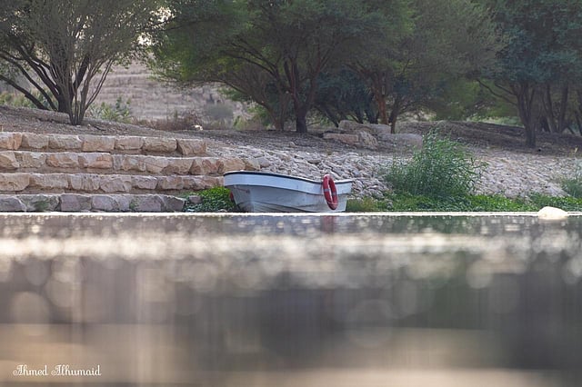 ���� ������ ����� ����� ������� sabq/2025-01-05/