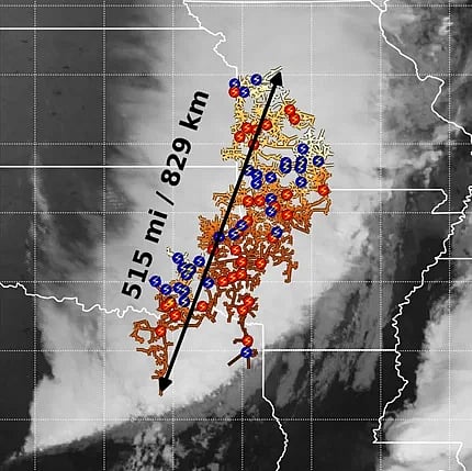 ����� ������ ������ �������. sabq/2025-08-01/