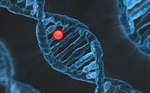 ���� ���� ����� ������ ��������� sabq/2025-11-16/