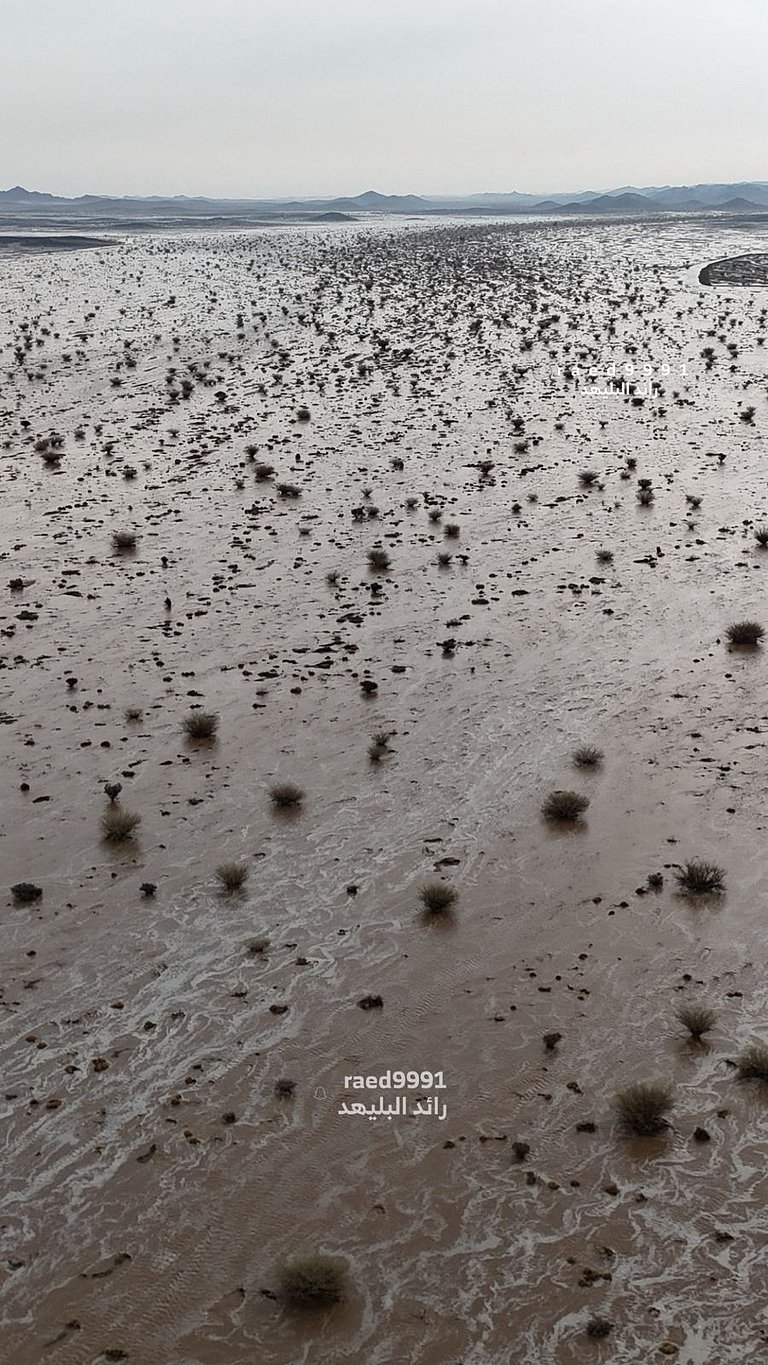 ����.. ����� ���� ����� ����� sabq/2025-11-16/