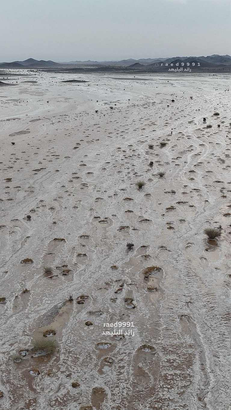 ����.. ����� ���� ����� ����� sabq/2025-11-16/