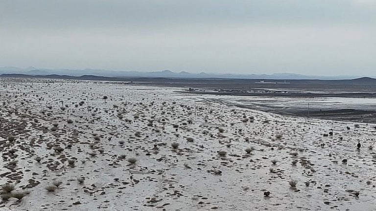 ����.. ����� ���� ����� ����� sabq/2025-11-16/