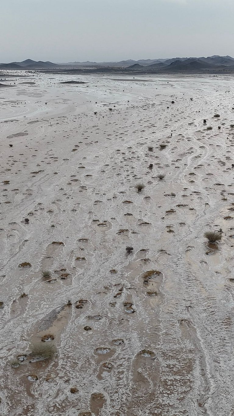 ����.. ����� ���� ����� ����� sabq/2025-11-16/