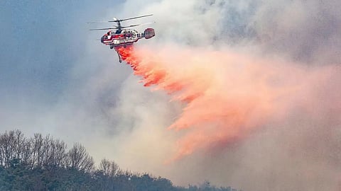 दक्षिण कोरिया में जंगल की आग से 18 की मौत, 43,000 एकड़ जमीन जलकर राख