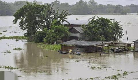 असम में बाढ़ से 5.6 लाख लोग प्रभावित