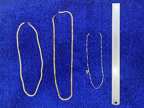 पर्णश्री में सक्रिय चेन छिनताई गिरोह का भंडाफोड़, तीन गिरफ्तार