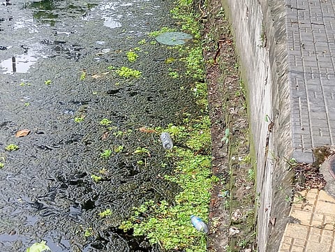 रवीन्द्र सरोवर की सुन्दरता को नष्ट कर रही है वहां फैली गंदगी