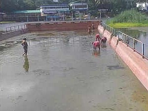 रवींद्र सरोवर का सार्वजनिक स्विमिंग पूल एक हफ्ते के लिए बंद