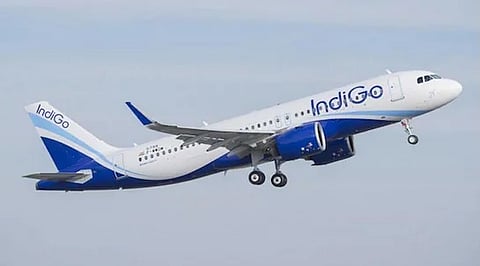 indigo_plane