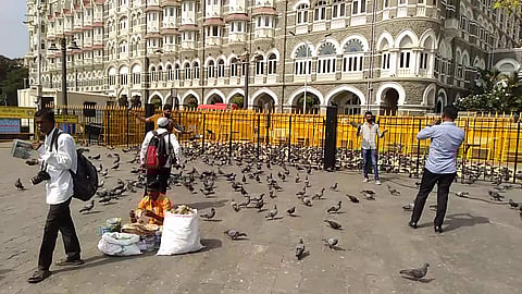 मुंबई के नगर निकाय को ‘कबूतर खाने’ तुरंत बंद करने का आदेश