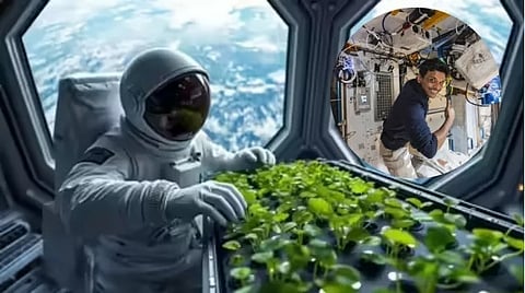 shukla_became_farmer_in_the_space