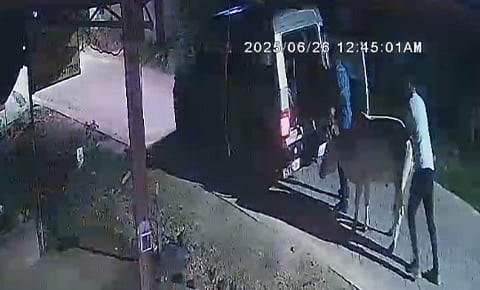 गाय चोरी करने का एक फाइल फोटो 