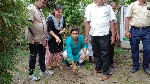 मथुरापुरा ब्लॉक परिसर में किया गया पौध रोपण 