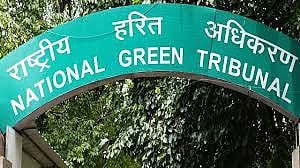 एनजीटी ने अब तक किया 5350 मामलों का निपटारा, 346 मामले लंबित