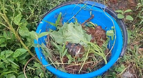 Panic due to bomb found in Naihati, police started special surveillance