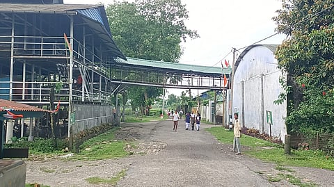 बामनडांगा चाय बागान का फाईल फोटो