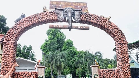 अलीपुर जू में जानवरों के लिए होगी ऐसी व्यवस्था