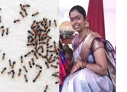 Myrmecophobic women killed herself 