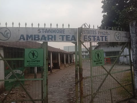 आमबाड़ी चाय बागान