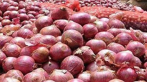 उत्पादन बढ़ा,10 जिलों में प्याज यूनिट बनाने की तैयारी  