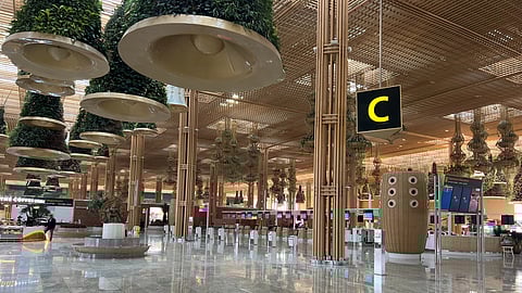 बैग में छिपा कर ला रहे लुप्तप्राय प्रजाति के दो बंदर एयरपोर्ट से बरामद, यात्री गिरफ्तार

