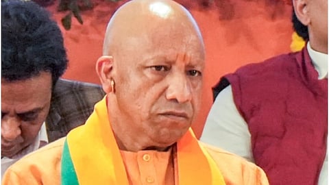 लखनऊ में 170 भेड़ों की रहस्यमय मौत, सीएम योगी ने दिए जांच के आदेश