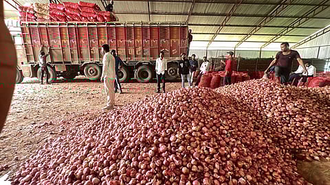केंद्र के कारण प्याज उत्पादकों को हुआ नुकसान, किसान संघ की चेतावनी- भुगतान करो या  परिणाम भुगतो 