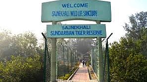 सांकेतिक फोटो 