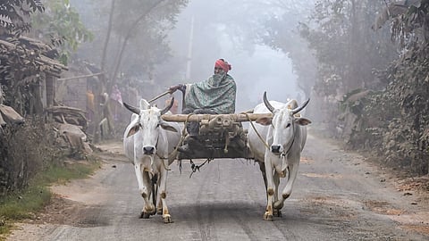 झारखंड में शीतलहर का प्रकोप
