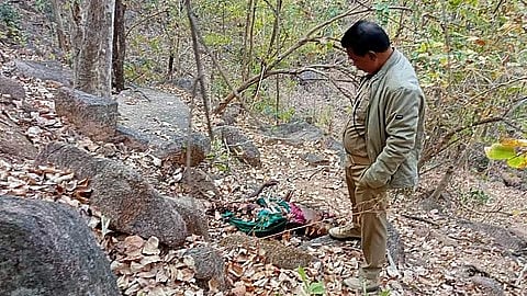 जंगल में मिला महिला का आधा खाया हुआ शव