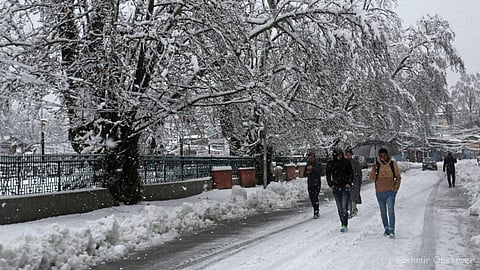 कश्मीर शीत लहर की चपेट में
