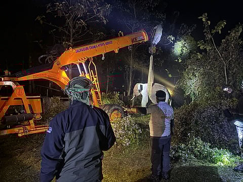 हाथी का रेस्क्यू करते वन विभाग के कर्मी
