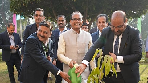 गेहूं उत्पादन पिछले वर्ष से अधिक रहने की उम्मीद: कृषि मंत्री