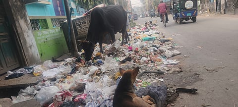 कचरा के ढेर से आम जनजीवन हुआ अस्त-व्यस्त