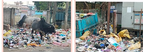 सफाई कर्मचारी की हड़ताल के कारण शहर में फैल रहा कचरा