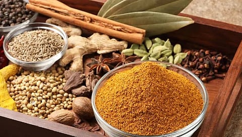 आयुर्वेद शास्त्र के अनुरूप करें मसालों का प्रयोग