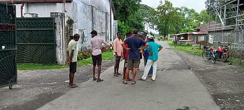 बामनडांगा चाय बागान
