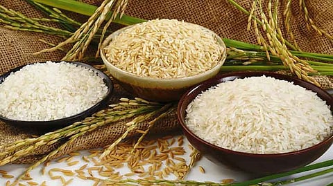 Three aromatic rice varieties of Benga