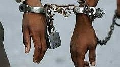 बंगाल में वन विभाग की बड़ी कार्रवाई