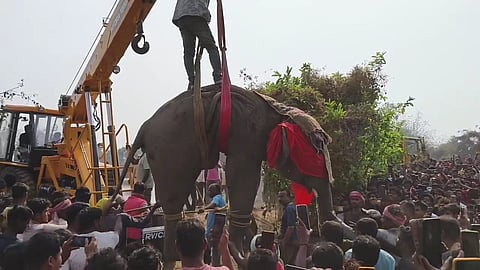 हाथी के हमले में एक ग्रामीण की मौत व 4 घायल  