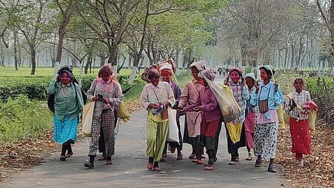 खुशियां मनाती चाय श्रमिक

