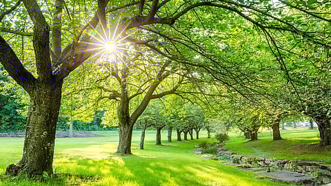 Weather Update : आज रहेगा गर्म और साफ मौसम