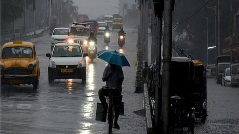 फाइल फोटो।