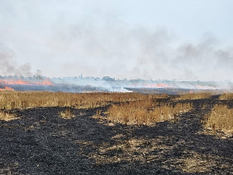 गेहूं की फसल में लगी आग 
