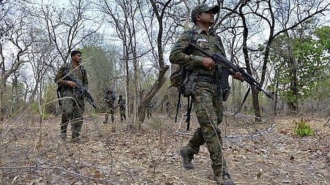 जंगलों में लगातार नक्सलियों की खोज के लिए अभियान चलाया जा रहा ( फाइल फोटो )। 