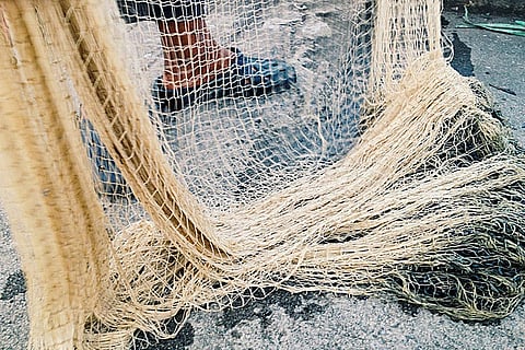 सांकेतिक जाल की तस्वीर