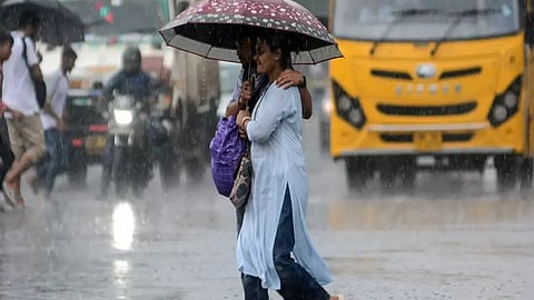 फाइल फोटो।