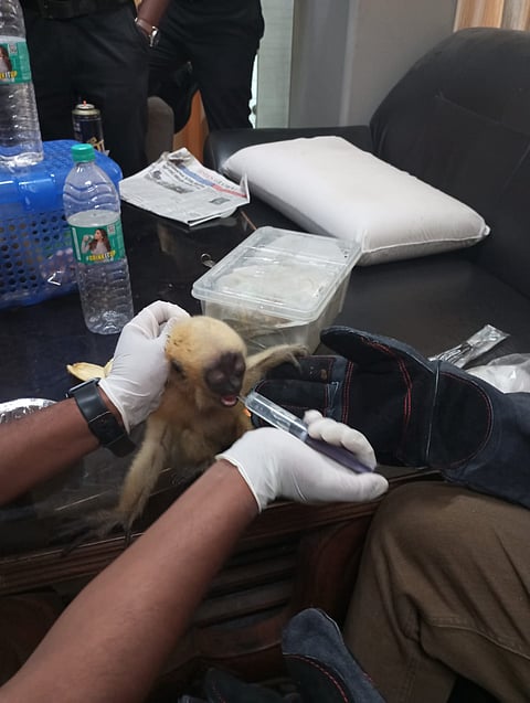 कोलकाता एयरपोर्ट पर वन्यजीव तस्करी का भंडाफोड़